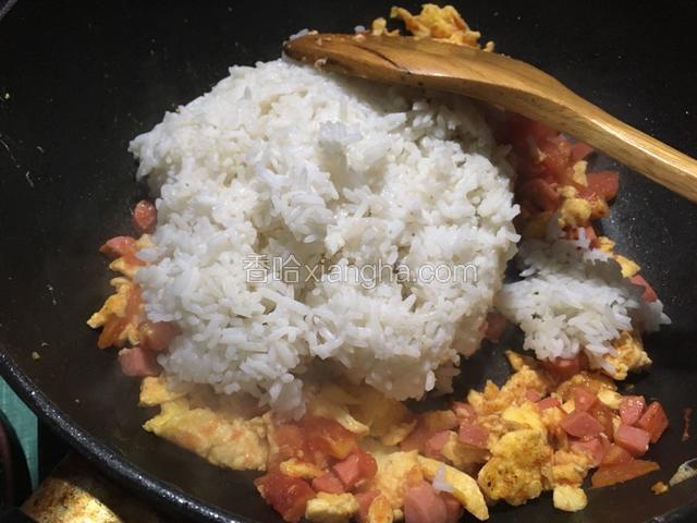 待炒的水分快干了放入米饭
