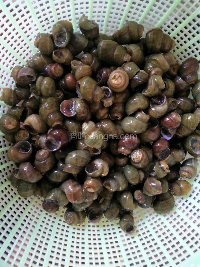 准备好材料