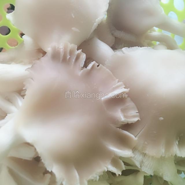 秀珍菇洗净晾干水