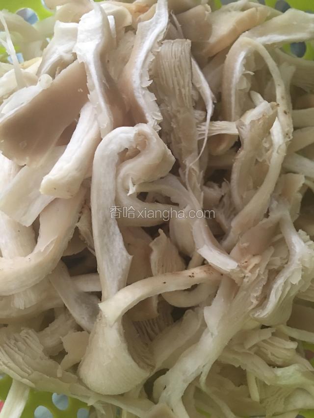 干后撕条