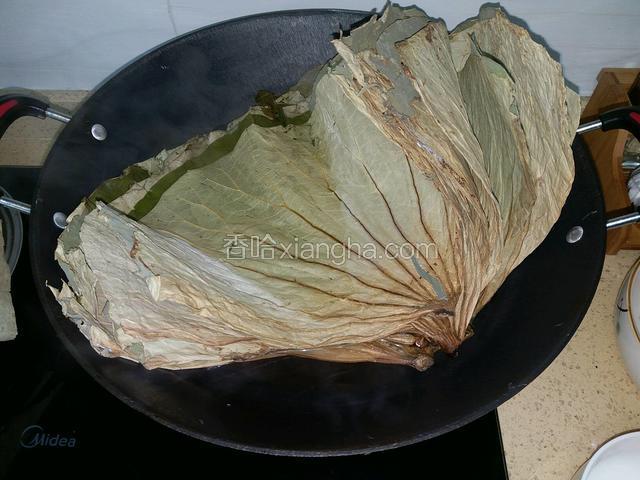 将干荷叶用热水煮两三分钟煮软捞起备用