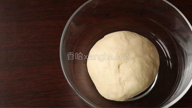 混合所有种面材料，揉成团，无需很光滑，酵母溶解即可，密封，冷藏发酵一夜