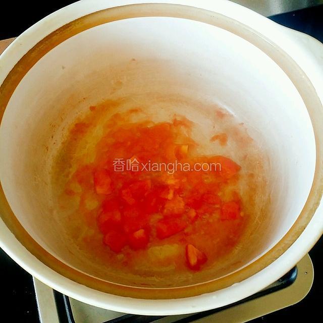 砂锅里放入少许的油，油热后放入番茄丁，炒出番茄汁。