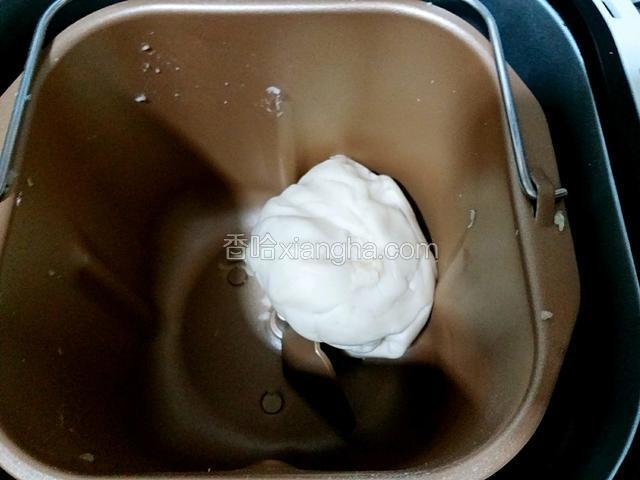活好的面团如下。