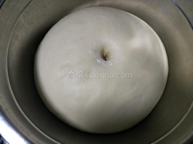 发至面团的2～2.5倍大，用手指按压不回缩，不塌陷即可