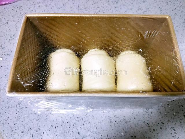 依次放入土司盒，盖保鲜膜