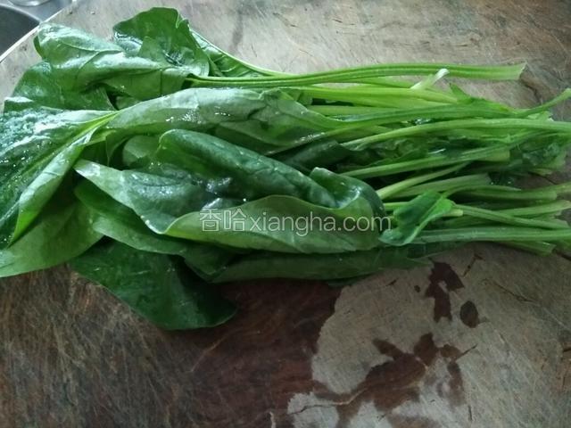 准备适量波菜洗净