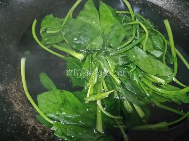 锅里倒适量水烧开关火将波菜焊一下在捞出来备用。