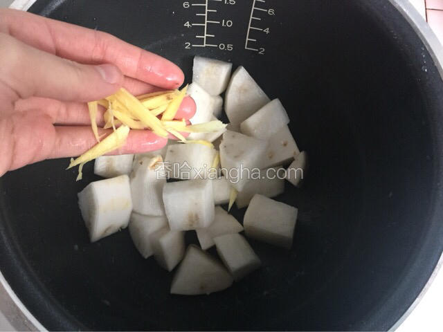 电饭煲内加入白萝卜和姜丝
