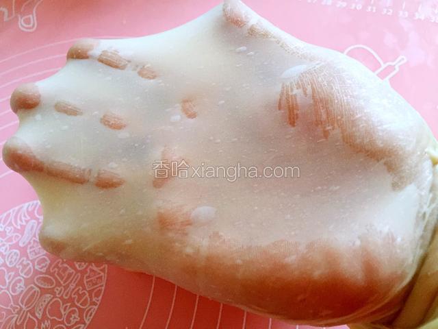 揉50分钟出膜（如果没有出膜可以继续手揉摔一会至出膜），进行第一次发酵