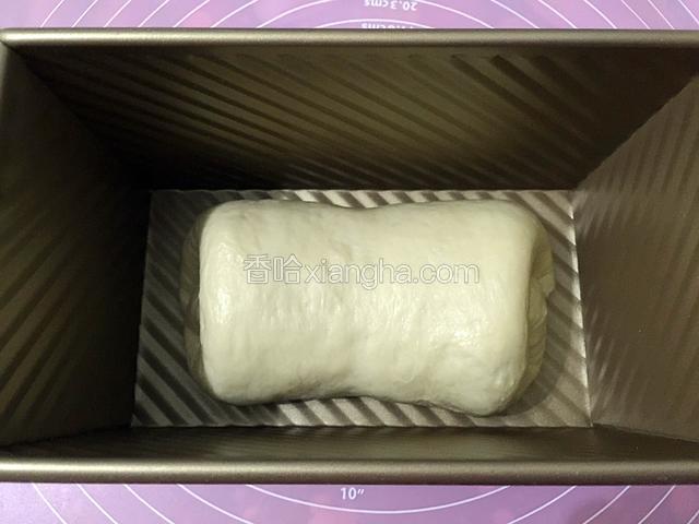 放入吐司盒中二次发酵