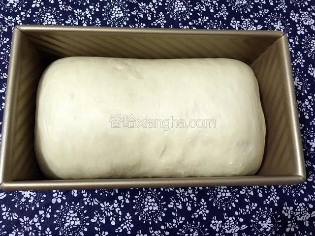发至8-9分满，烤箱预热160度10分钟，然后入烤箱160度烤40分钟，烤好后取出晾温装袋保存。