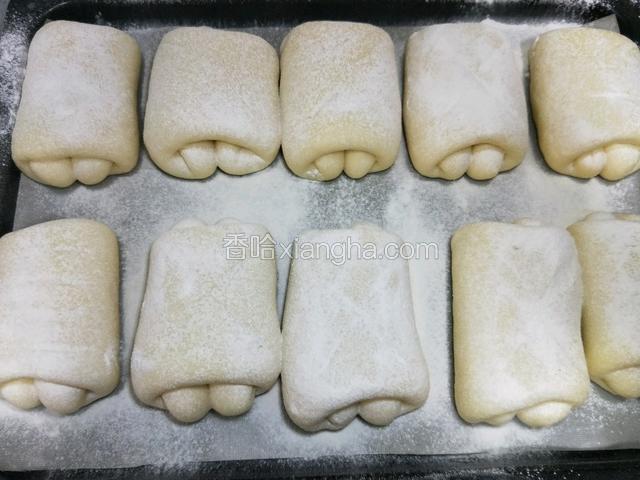 烤箱预热至160度，面包表面轻轻筛粉一层，也可以不筛。送入烤箱中层，160度烤20分钟，中间(约8分钟)加盖锡纸。