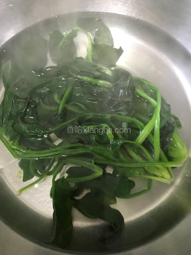 焯水半分钟后捞出放入冷水中