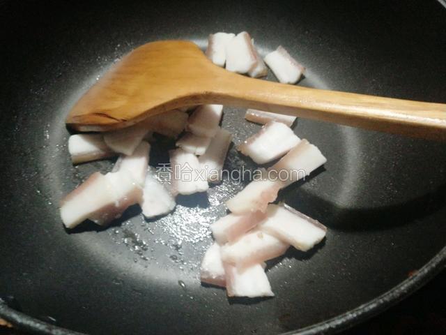 热锅放入肥肉小火煸出油
