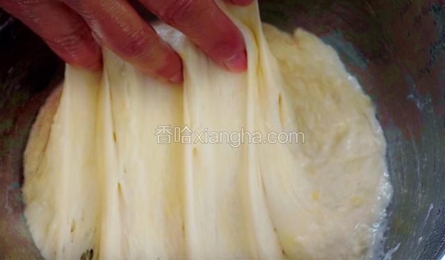 面团发酵至有大的蜂窝即可制作油饼