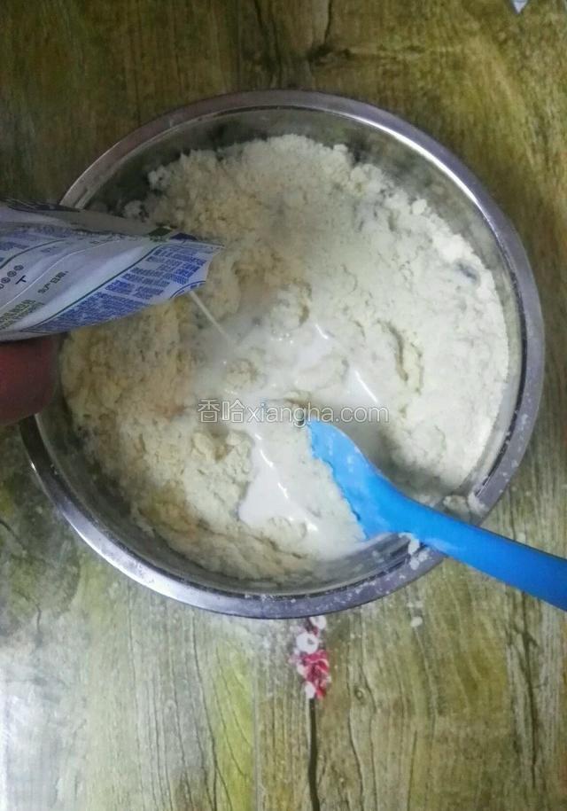 把蔓越莓和粉搅拌均匀后，满满的分次倒入牛奶，翻拌