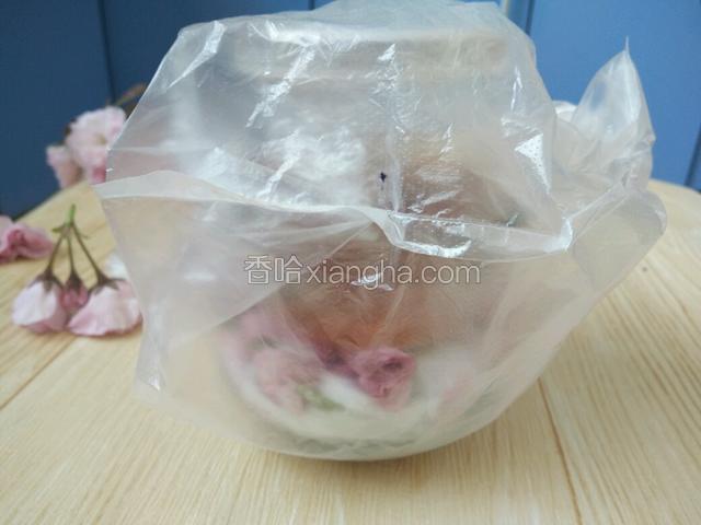然后再用一个打包带套起来放入阴凉干燥处
大约两天后拆开袋子看一下，因为玻璃是透明的，所以特别容易观察，如果樱花微微出水，可以将盐和樱花都取出，
樱花用厨房纸吸干一下，然后再重新重复腌一遍，这样经过两次盐渍后，做出来的樱花会比较鲜艳干燥