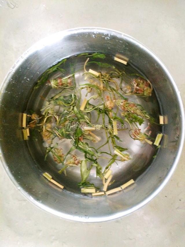 益母草清洗干净