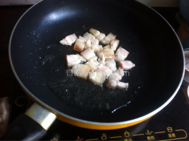 热锅放入肥肉丁煎出油