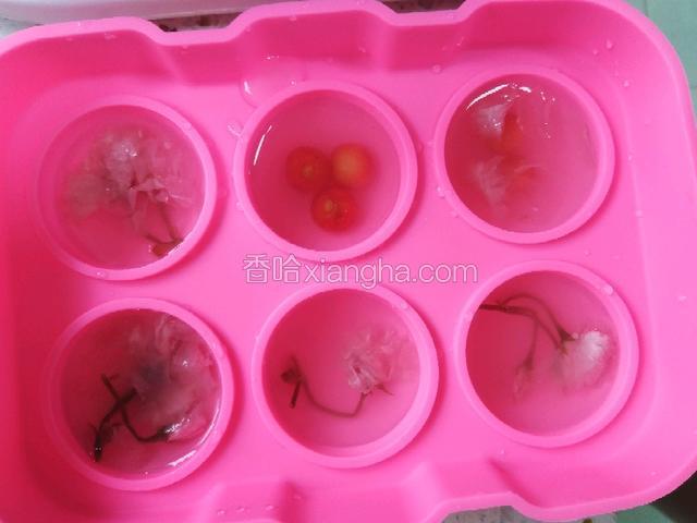 将溶液倒入模具中，八分满然后加入樱花和樱桃，整理一下下