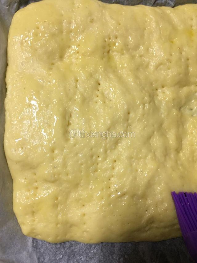 然后放在温暖处发酵
发酵好后刷上玉米油