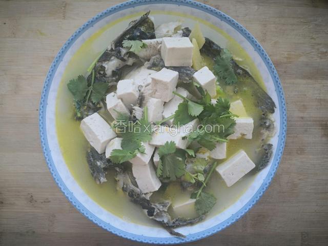 嘎鱼炖豆腐