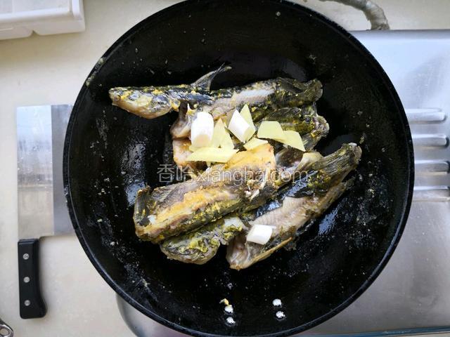 热锅倒入色拉油，油烧至五成热，放入嘎鱼，双面煎至发黄（嘎鱼肉嫩，双面煎时手要轻），加入葱段和姜片，爆出香味。