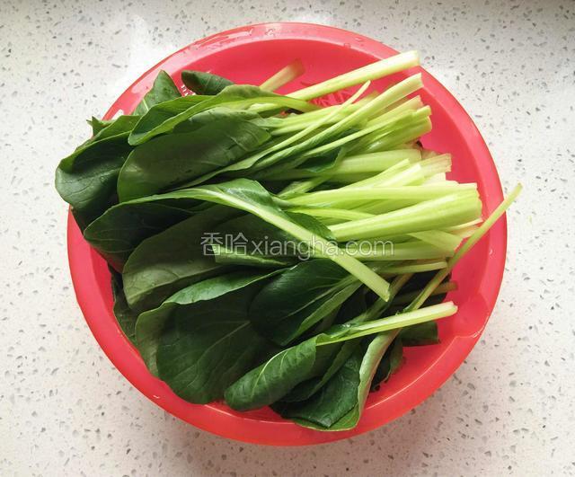 油菜去根，冲洗干净。