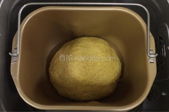 整理好面团放在面包机内，盖好保鲜膜进行发酵。