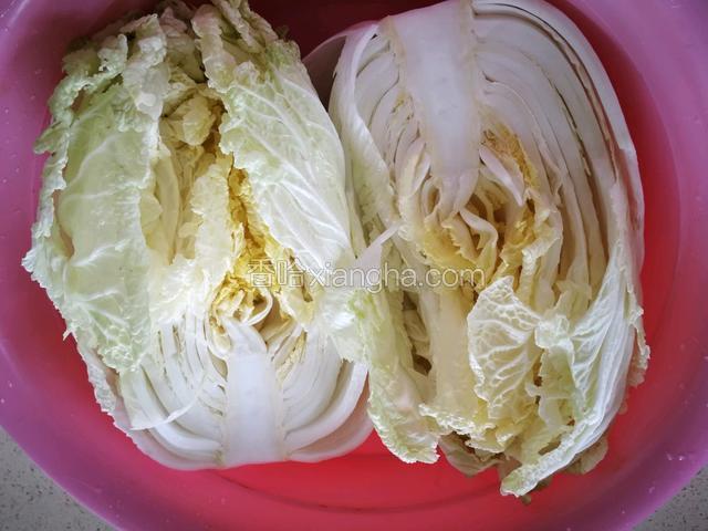 取一个能平放两个半棵白菜的盆，放入一大半盐约170-180克，加入1000毫升（约5杯）左右的水，用手搅至盐融化。把白菜放入盆中浸透盐水，若您买的太大颗浸不透，可稍加一点水也无妨。