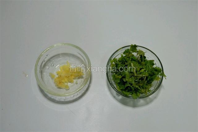姜去皮切末，香菜切小段
