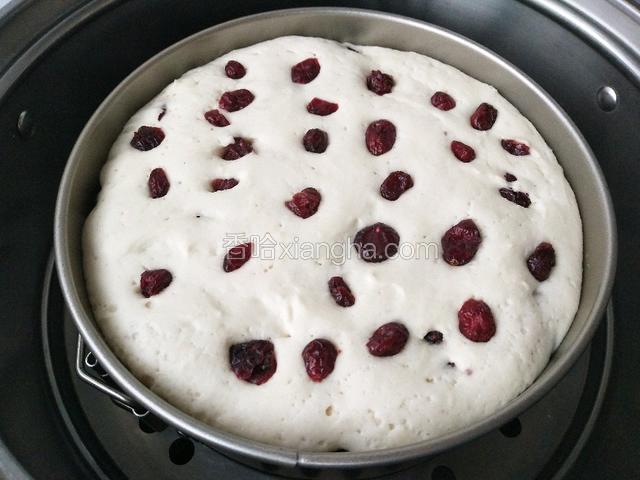 蔓越莓在上面再装饰一下，轻轻按下。