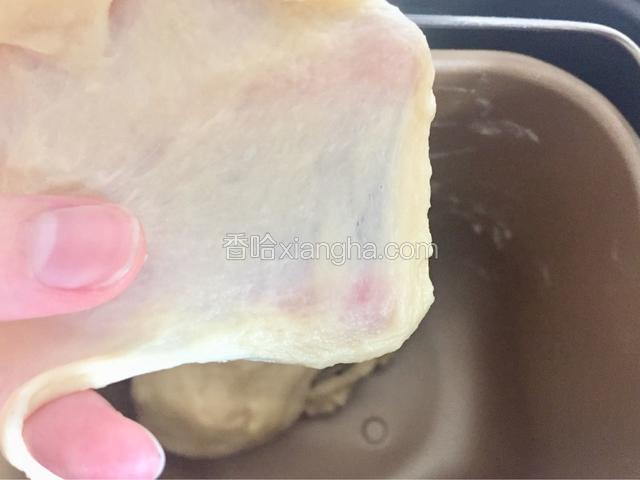 加入黄油再次揉面一个程序，直至能够拉出薄膜。
