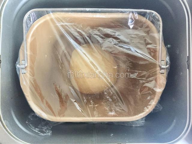 将面团揉圆之后盖上保鲜膜，启动面包机发酵程序设置1小时，手指占粉戳洞不回缩即发酵成功。
