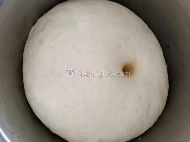 手指沾面按一下面团，面团不弹起就是发酵好了