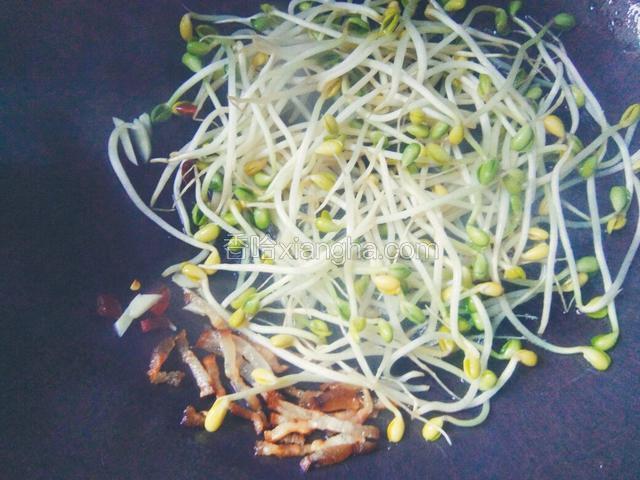 倒入芽菜，放适量盐，