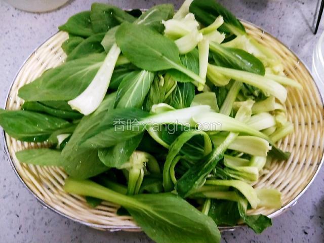 鸡毛菜已经，每片叶子撕开。