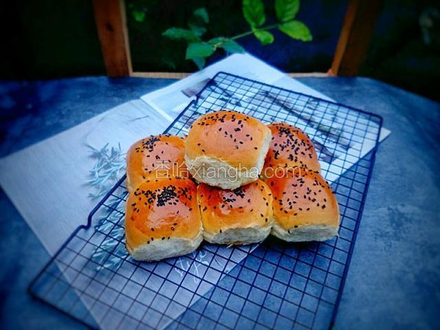 原味小餐包