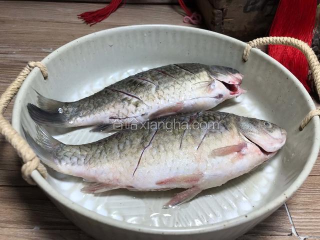 喜头鱼收拾干净，加入料酒和盐，里外抹匀腌制入味