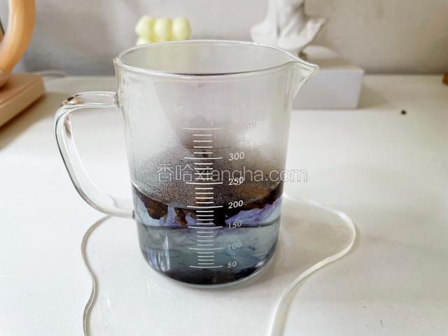 蝶豆花+开水