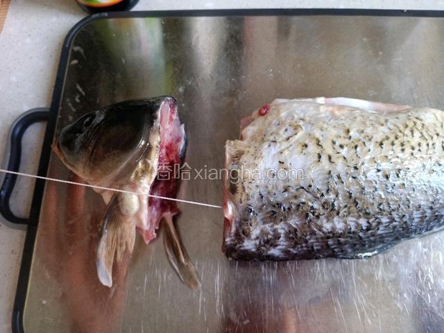 在挑出鱼腥线，两面各一条。