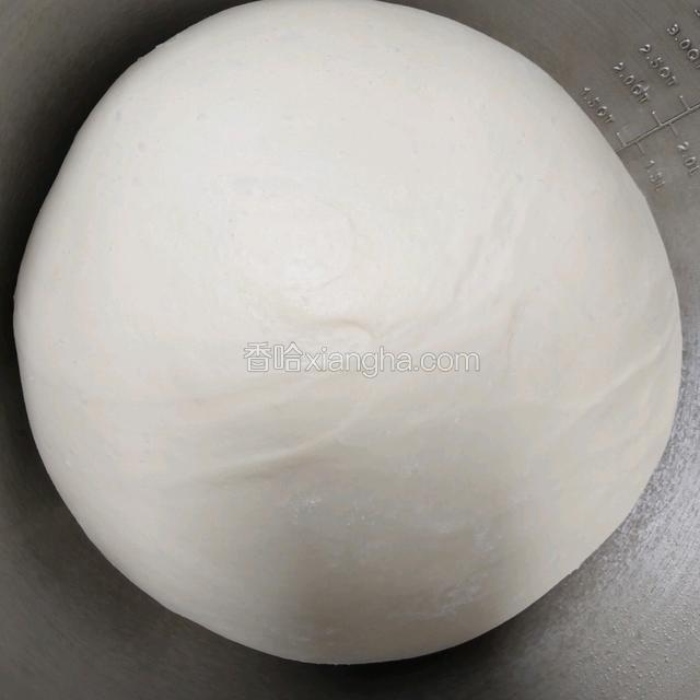 发酵至2倍大