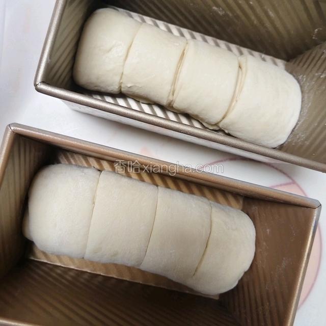 整形好的面团
