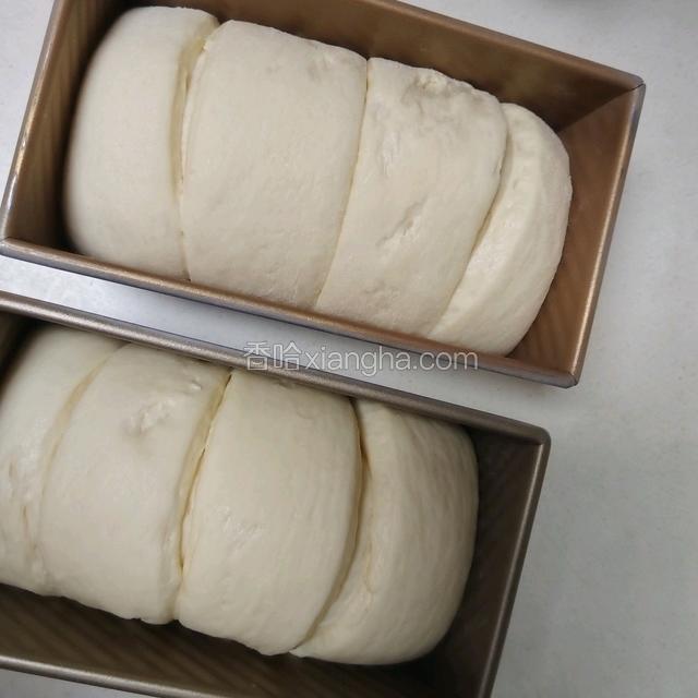 发酵至8分满