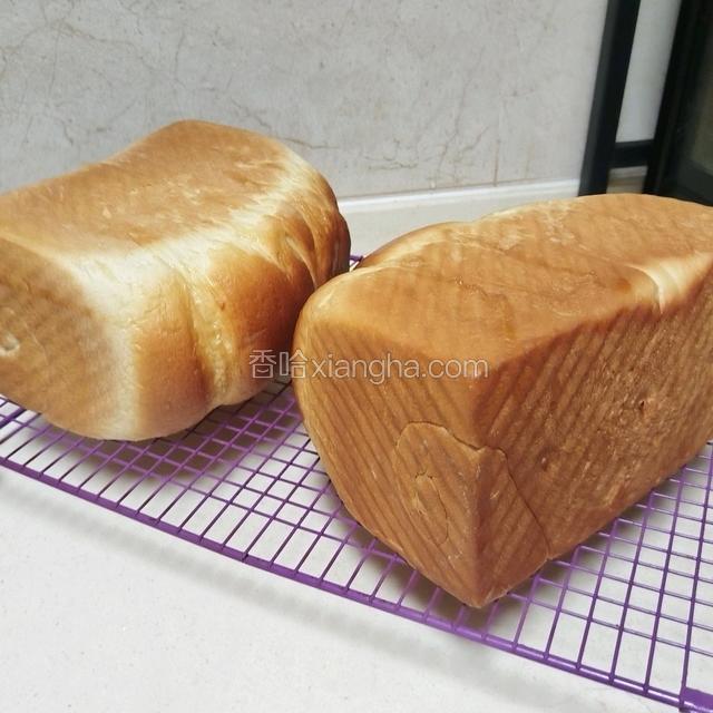 刷蜂蜜水后侧躺晾凉