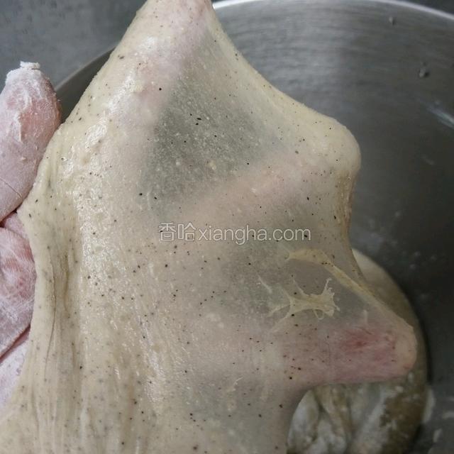 手套膜