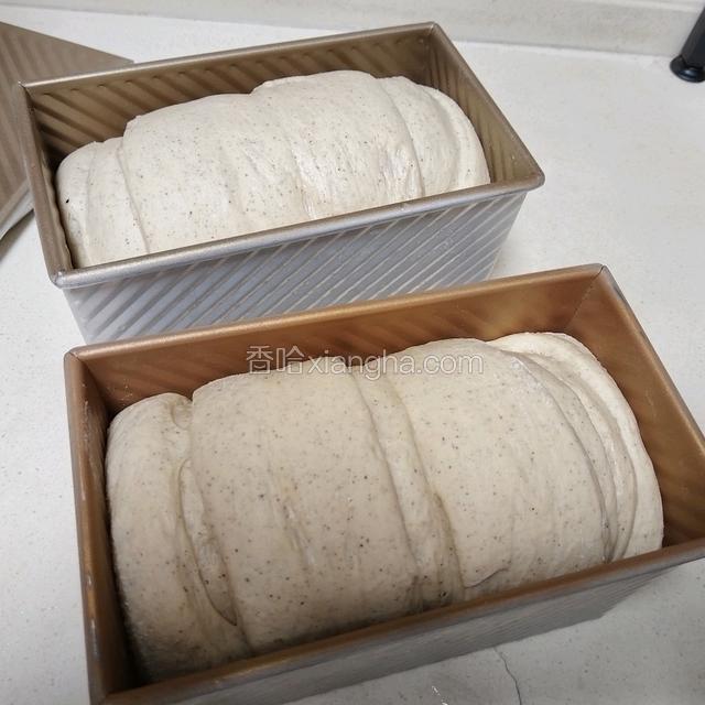 发酵好的吐司