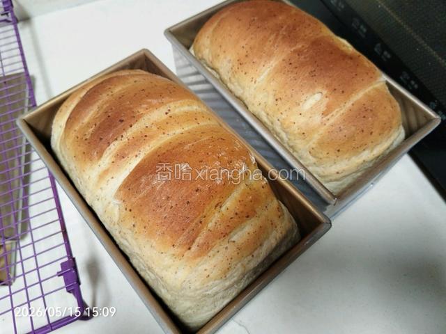 出炉，震模