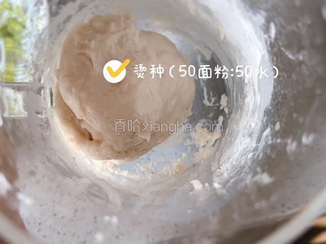 我是提前一晚把烫种做好，50g高粉+50g沸水快速搅匀成细腻糊状，密封冷藏一晚第二天拿出来用